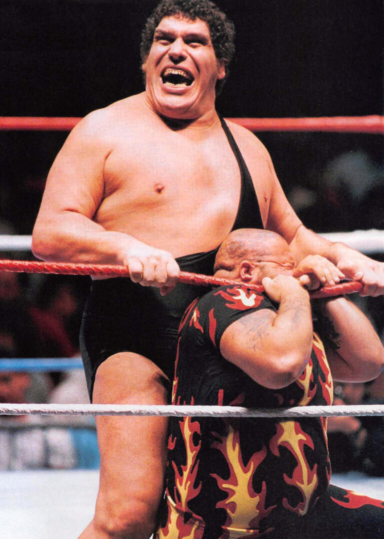 Portrait of Andre the Giant.
