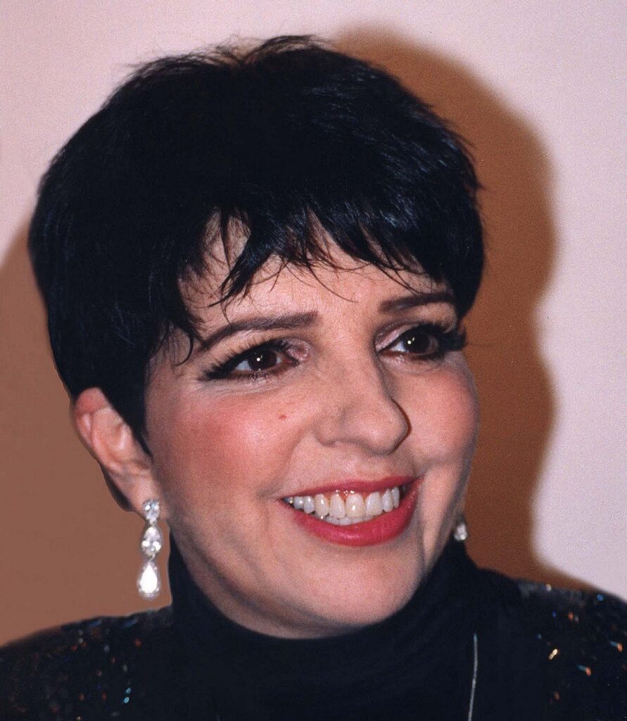 Portrait of Liza Minnelli.